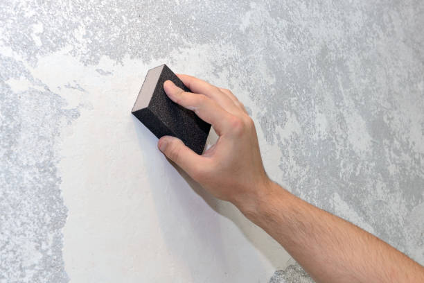 Best Mold Damage Restoration  in Jonesboro, GA