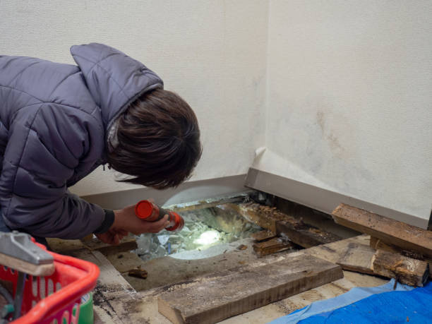 Best Post-Remediation Verification Testing  in Jonesboro, GA